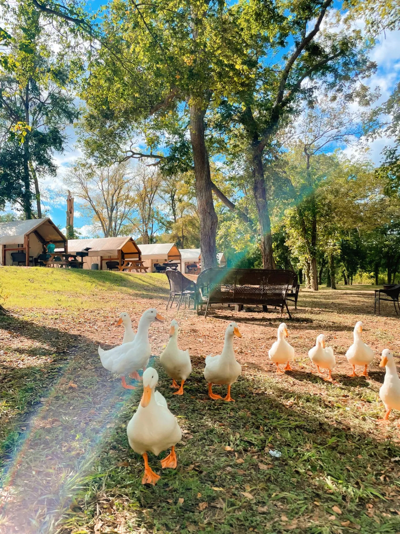 Easter family glamping moment 2 at Son's River Ranch