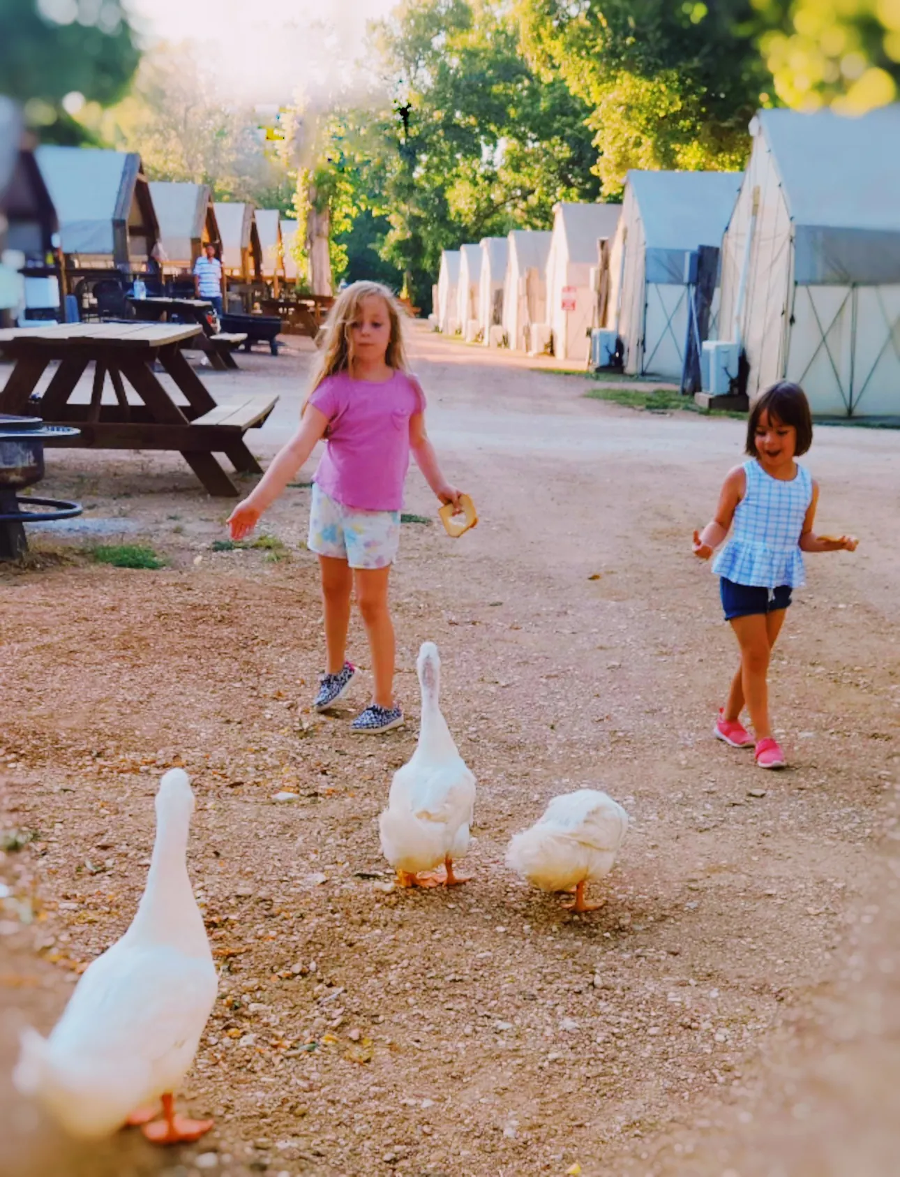 The Nguyen Family at Son's River Ranch